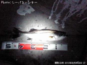 �����Х�