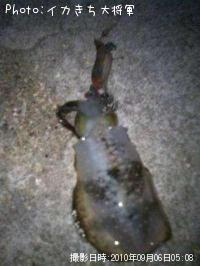 �����ꥤ��