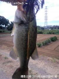 ¥Ö¥é¥Ã¥¯¥Ð¥¹