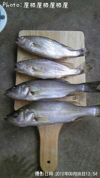 ���������������