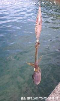 �����ꥤ��