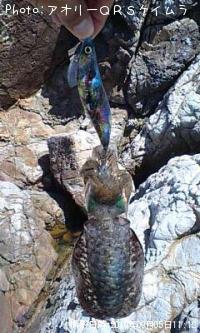 �����ꥤ��