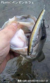 �֥�å��Х�