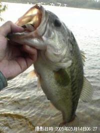 ¥Ö¥é¥Ã¥¯¥Ð¥¹