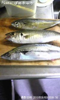 ������������