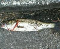 �����Х�