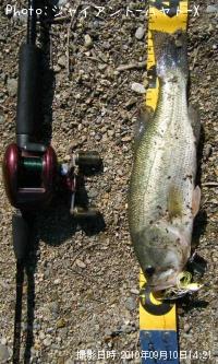 ¥Ö¥é¥Ã¥¯¥Ð¥¹