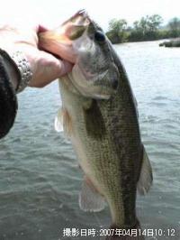 ¥Ö¥é¥Ã¥¯¥Ð¥¹