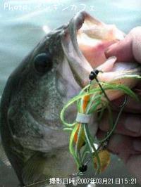 ¥Ö¥é¥Ã¥¯¥Ð¥¹