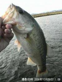 ¥Ö¥é¥Ã¥¯¥Ð¥¹