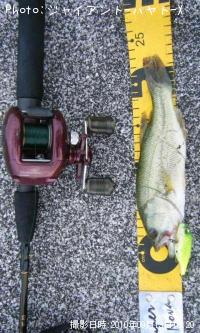 ¥Ö¥é¥Ã¥¯¥Ð¥¹