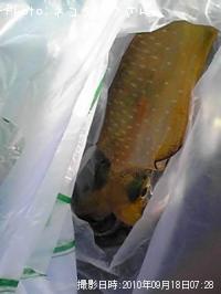 �����ꥤ��