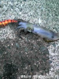 �����ꥤ��