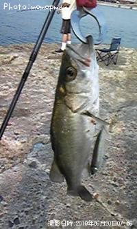 �����Х�