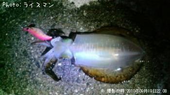 �����ꥤ��