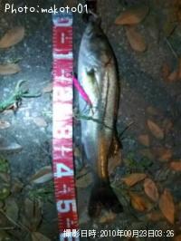 �����Х�