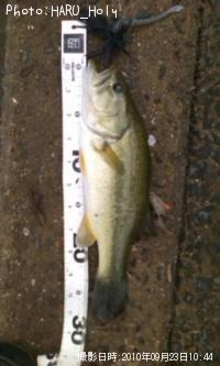 ¥Ö¥é¥Ã¥¯¥Ð¥¹