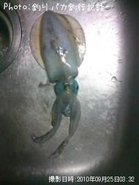 �����ꥤ��