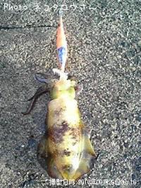 �����ꥤ��