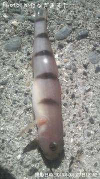 ��奦�����ϥ�