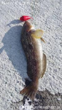 �����ʥ�