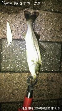 �����Х�