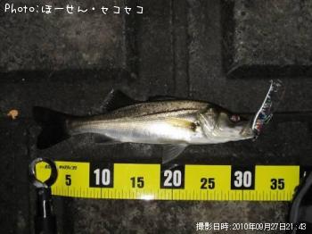 �����Х�