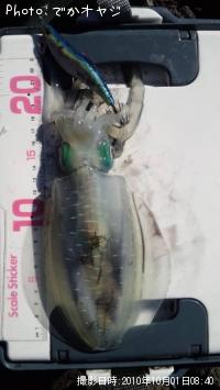 �����ꥤ��