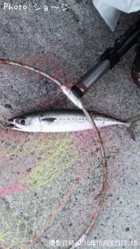 ���ޥ���