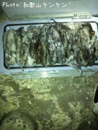 �����ꥤ��