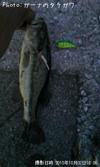 �֥�å��Х�