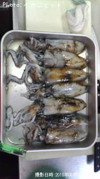 ¥¢¥ª¥ê¥¤¥«