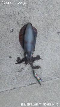 �����ꥤ��