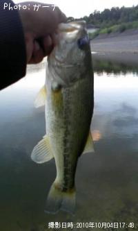 �֥�å��Х�