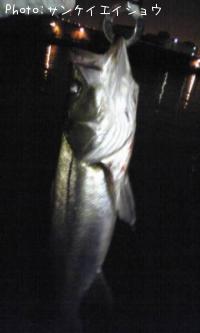 �����Х�