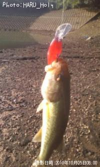 ¥Ö¥é¥Ã¥¯¥Ð¥¹