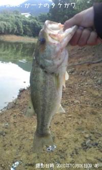 ¥Ö¥é¥Ã¥¯¥Ð¥¹