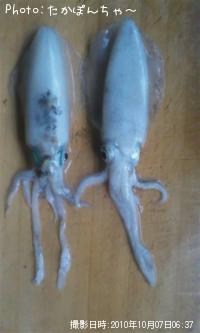 �����ꥤ��