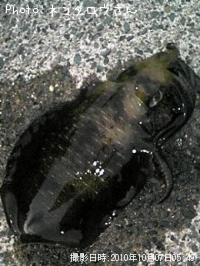 �����ꥤ��