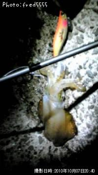 �����ꥤ��