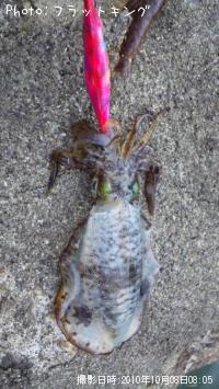 �����ꥤ��