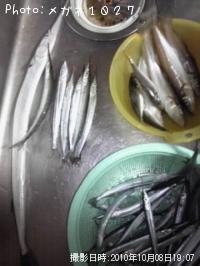 ����ꡢ����