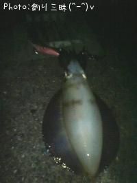 ¥¢¥ª¥ê¥¤¥«