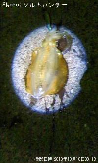 �����ꥤ��