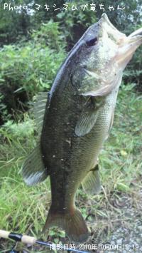 ¥Ö¥é¥Ã¥¯¥Ð¥¹