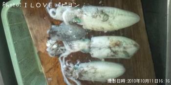 ¥¢¥ª¥ê¥¤¥«