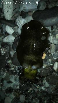 �����ꥤ��