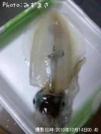 �����ꥤ��