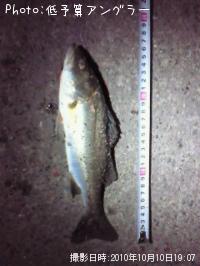 �����Х�