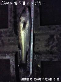 �����Х�